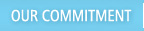 Our commitment